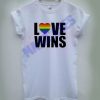 Love wins T-shirt Men Women and Youth