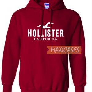hollister hoodies cheap