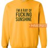 I'm A Ray Of Fucking Sweatshirt